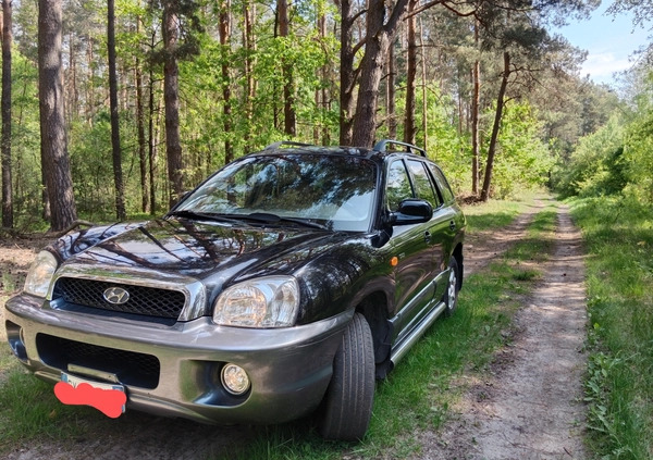 Hyundai Santa Fe cena 16900 przebieg: 210321, rok produkcji 2005 z Ciechanowiec małe 277